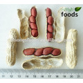 2015 Jilin Origin Four Red Skin Peanut Kernels